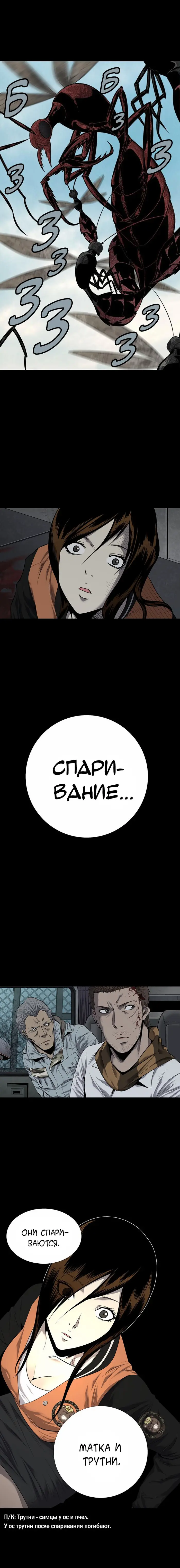 Страница 13