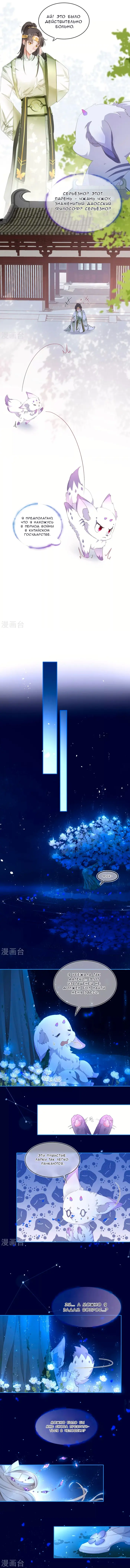 Страница 5