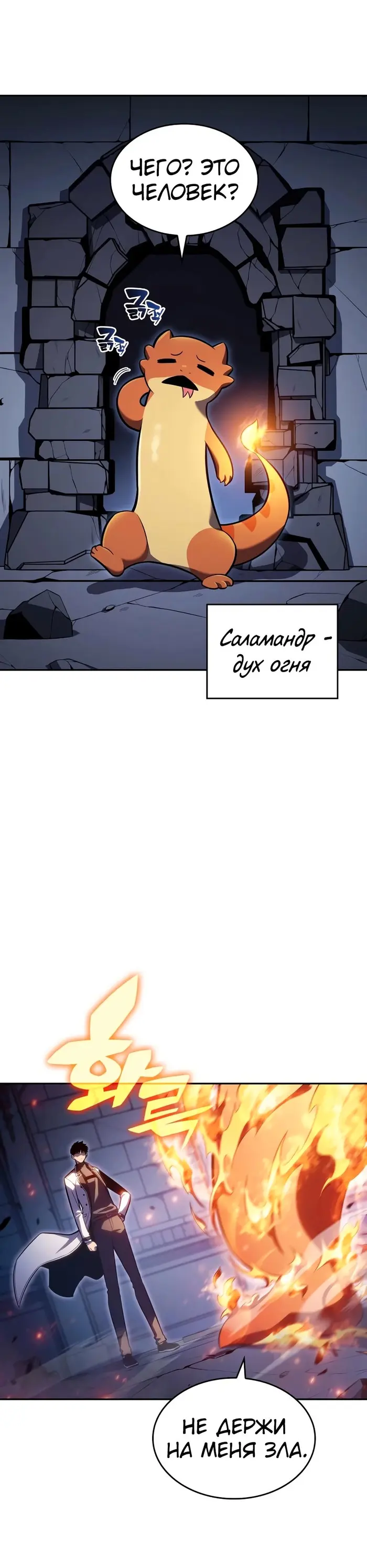 Страница 43