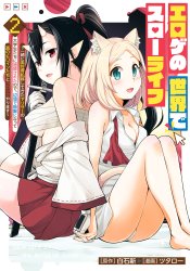 Eroge no Sekai de Slow Life: Issho ni Isekai Teni shitekita Yarisaa no Daigakusei-tachi ni Tsuihou sareta node, Henkyou de Muteki ni Natte Shin no Heroine-tachi to Yoroshiku Yarimasu