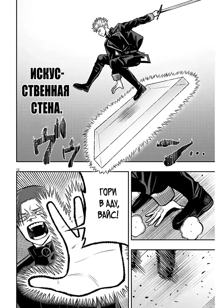 Страница 12