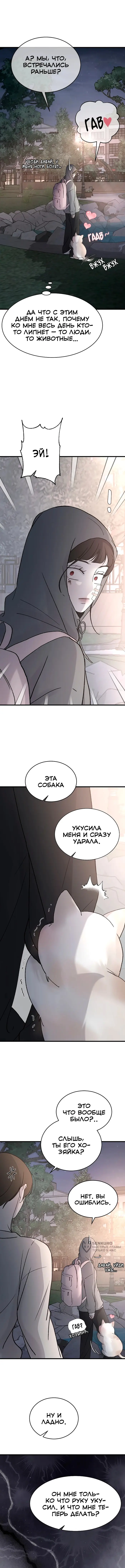 Страница 13