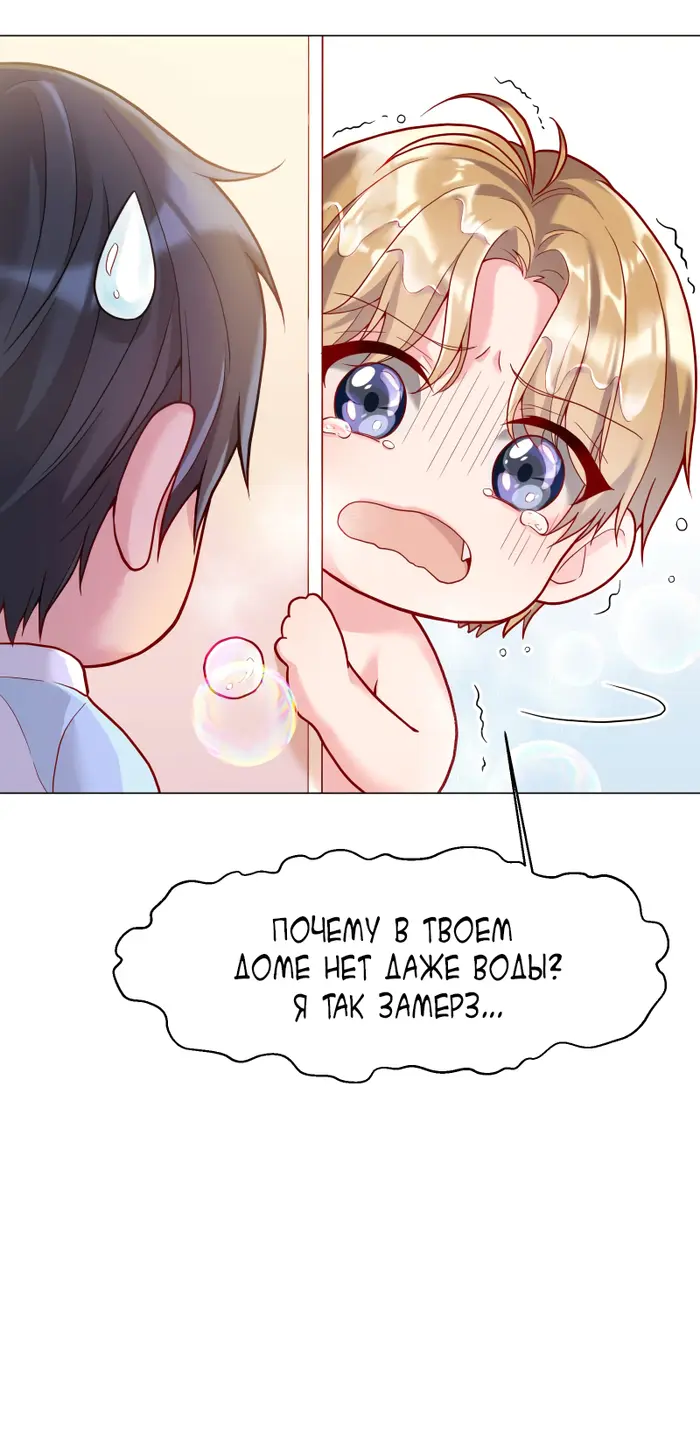 Страница 43