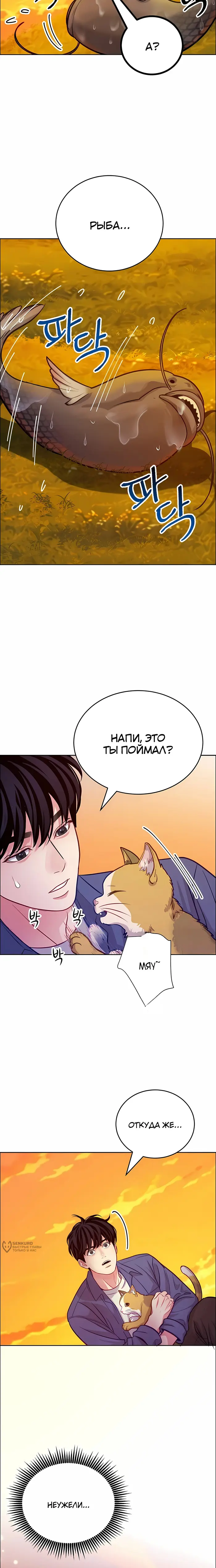Страница 21