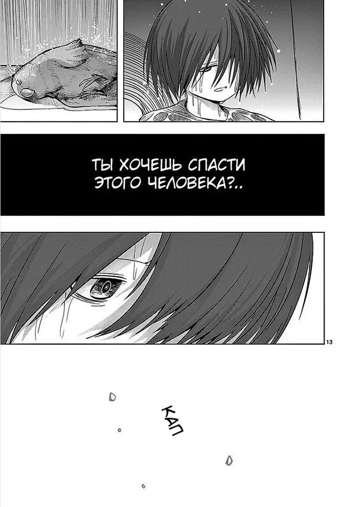 Страница 13