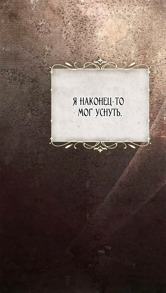 Страница 113
