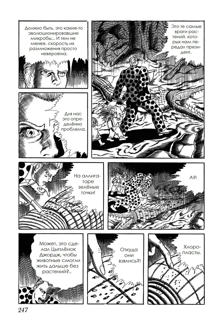 Страница 5