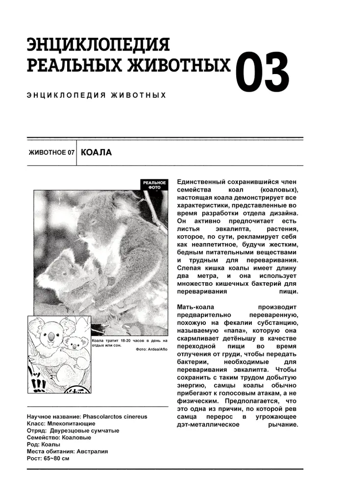 Страница 17