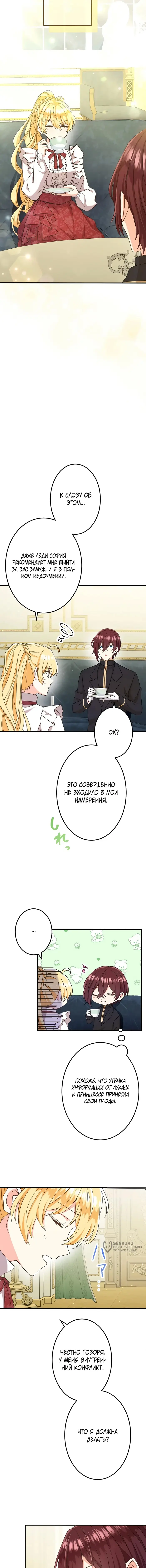 Страница 17
