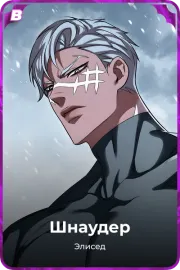 Шнаудер