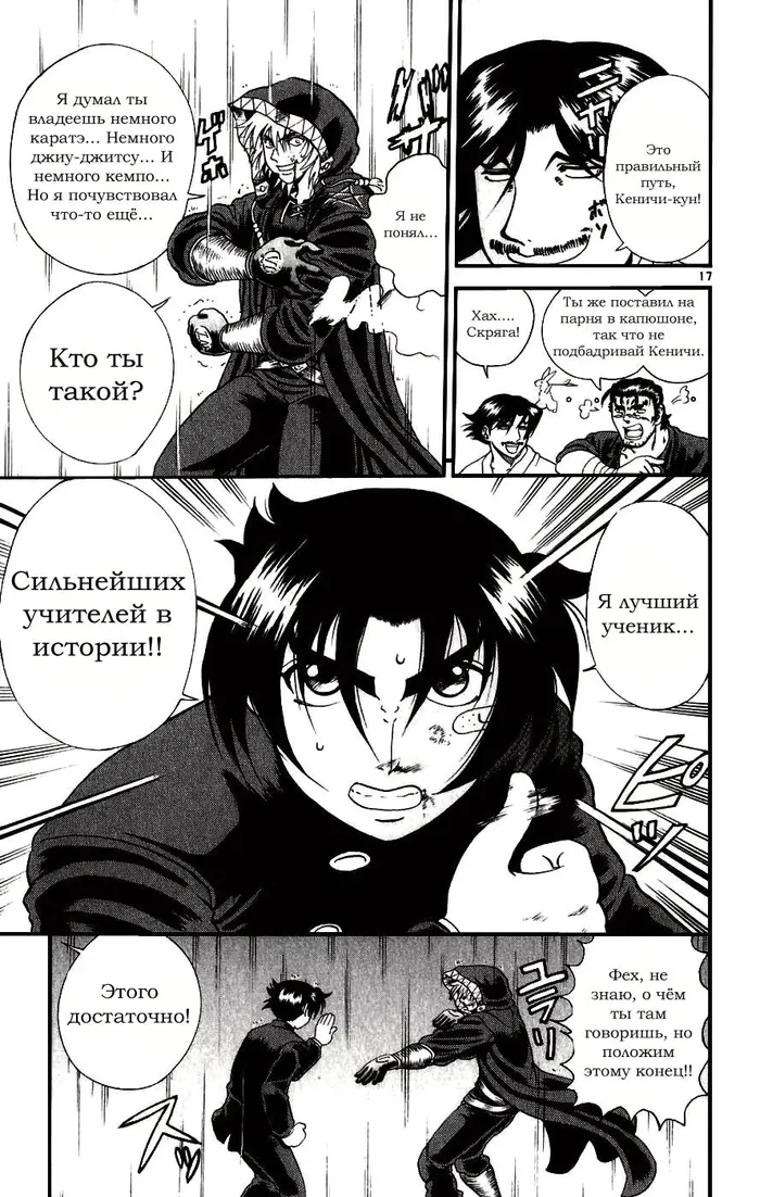 Страница 17