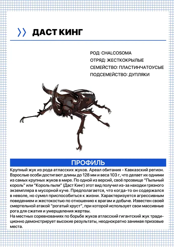 Страница 41