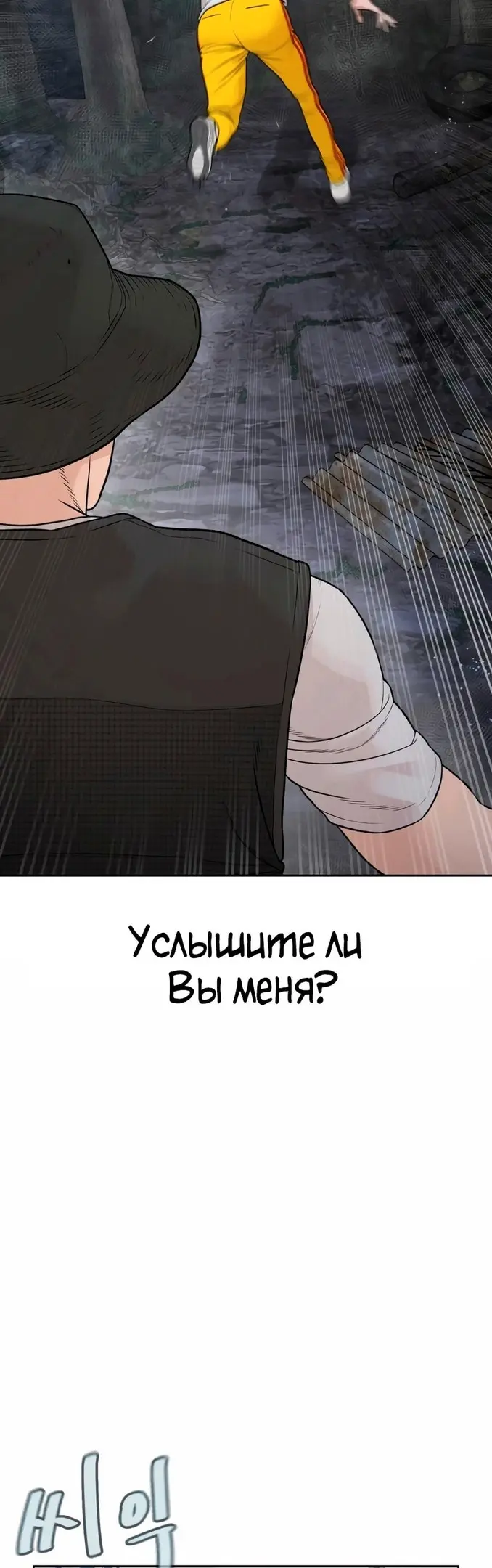 Страница 43
