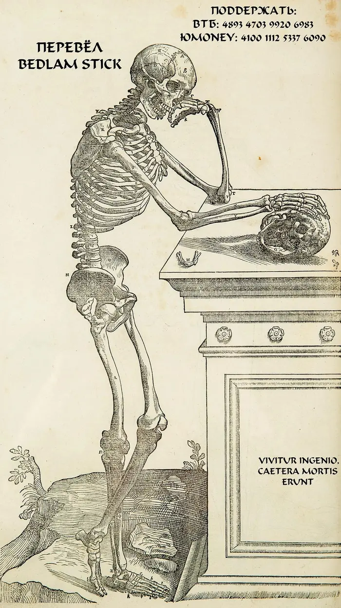 Страница 26