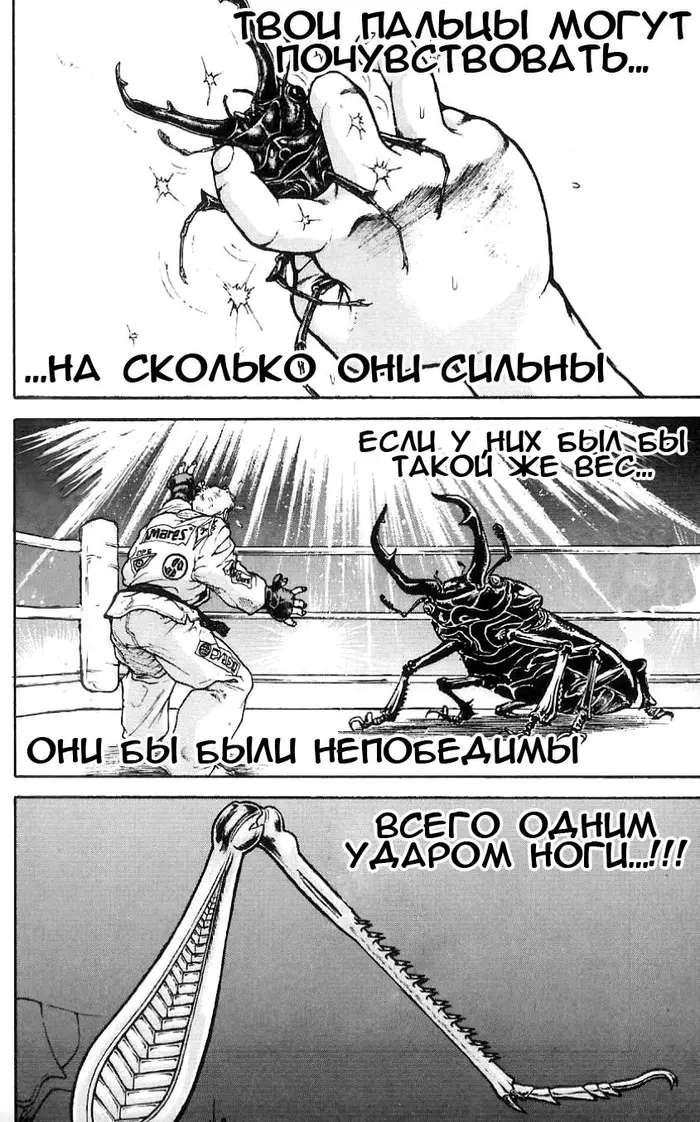 Страница 15