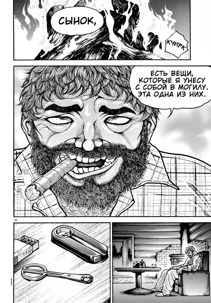 Страница 12