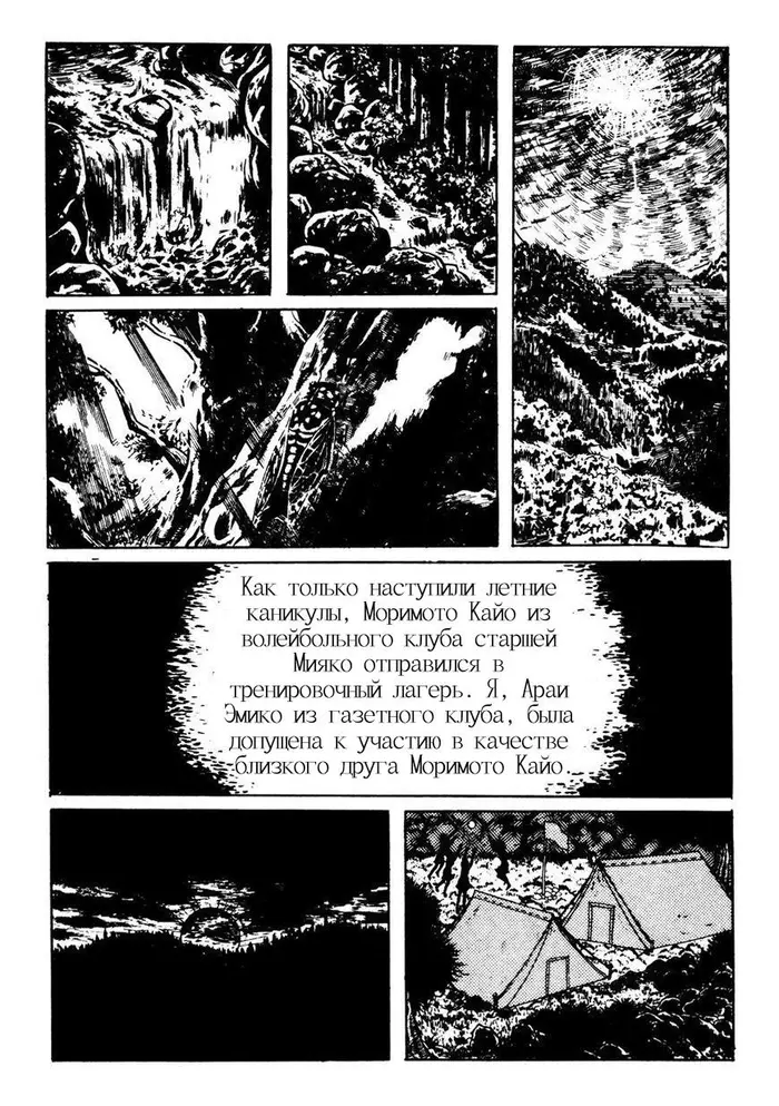 Страница 2