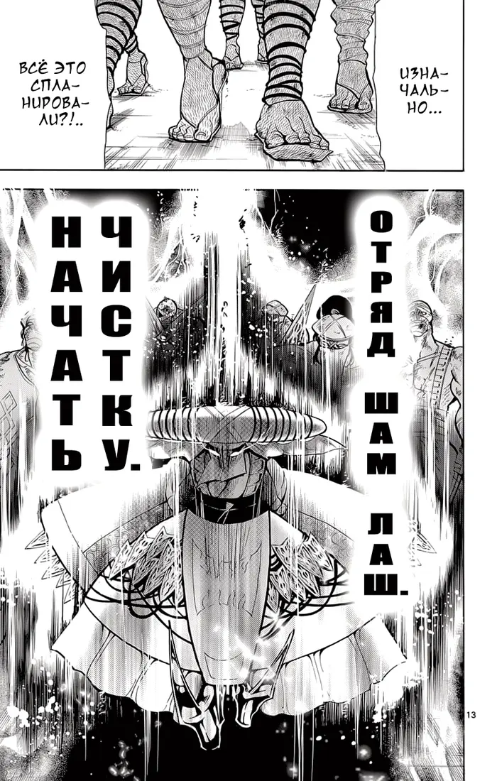 Страница 13