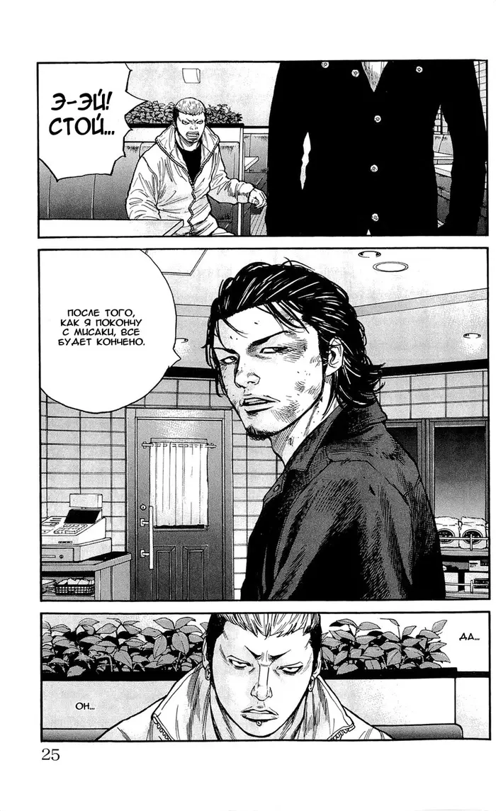 Страница 25