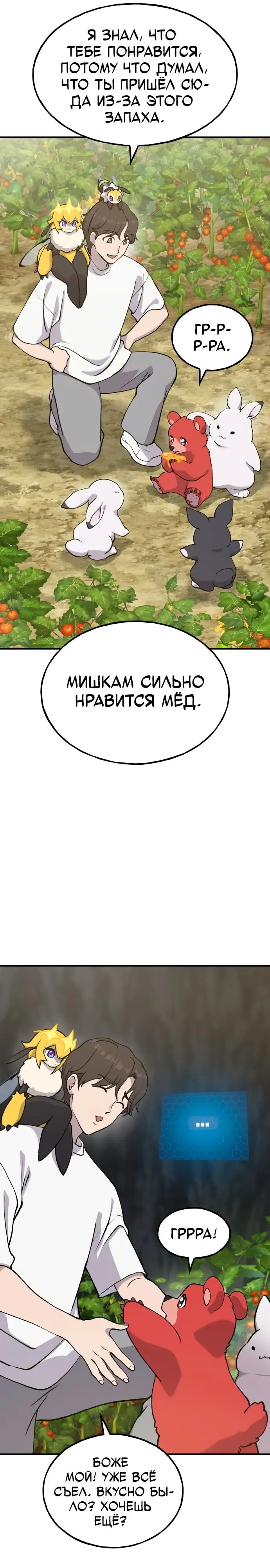 Страница 13