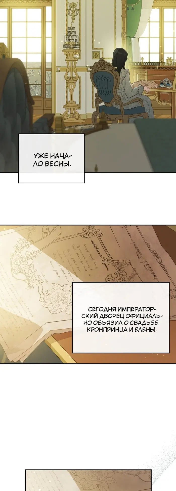 Страница 43