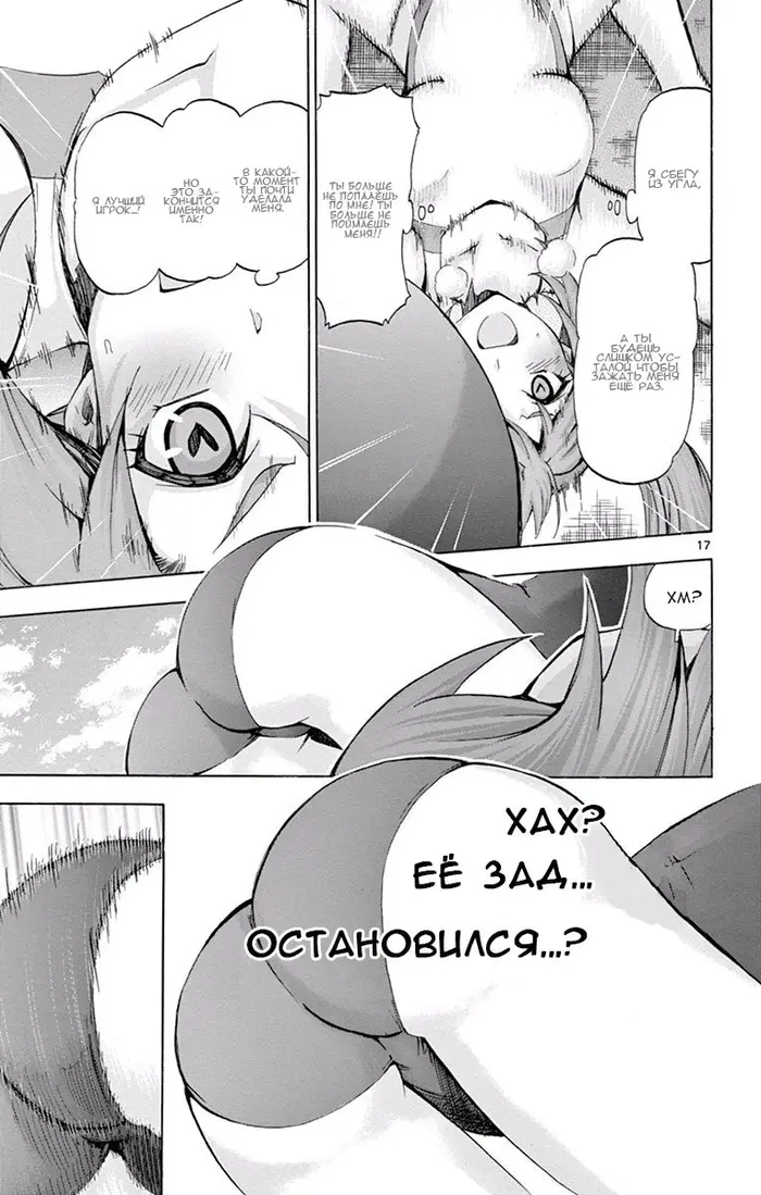 Страница 17