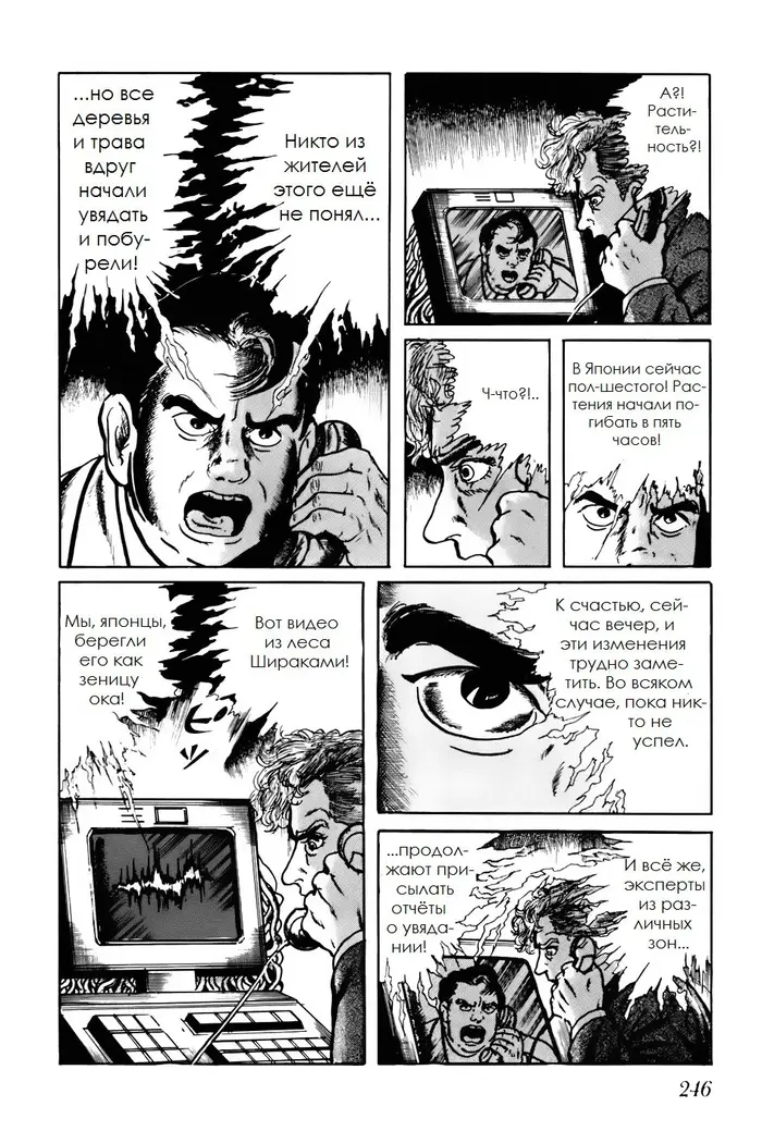 Страница 4