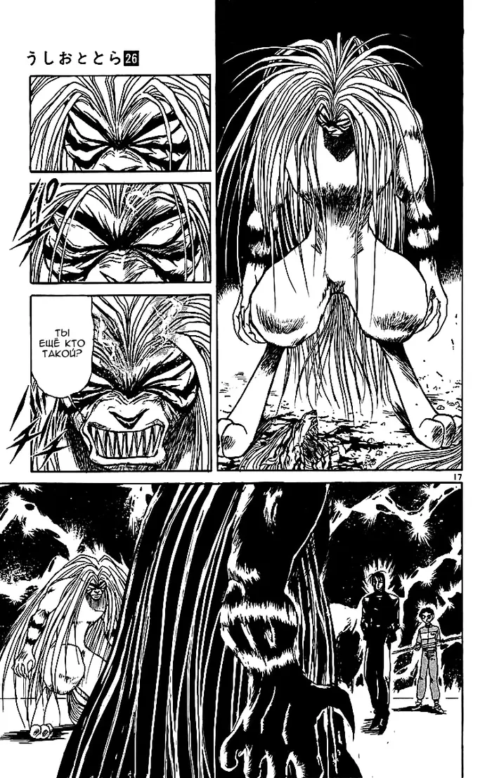 Страница 17