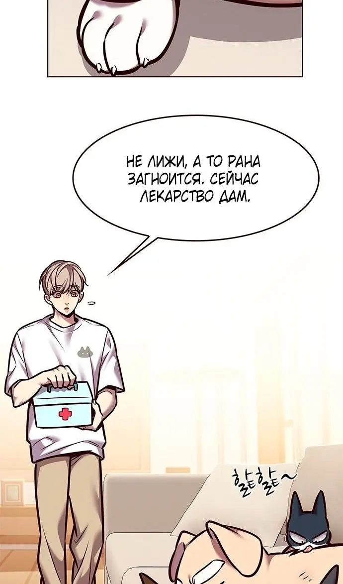 Страница 45