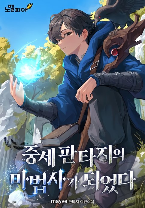 I Became a Wizard in Medieval Fantasy
