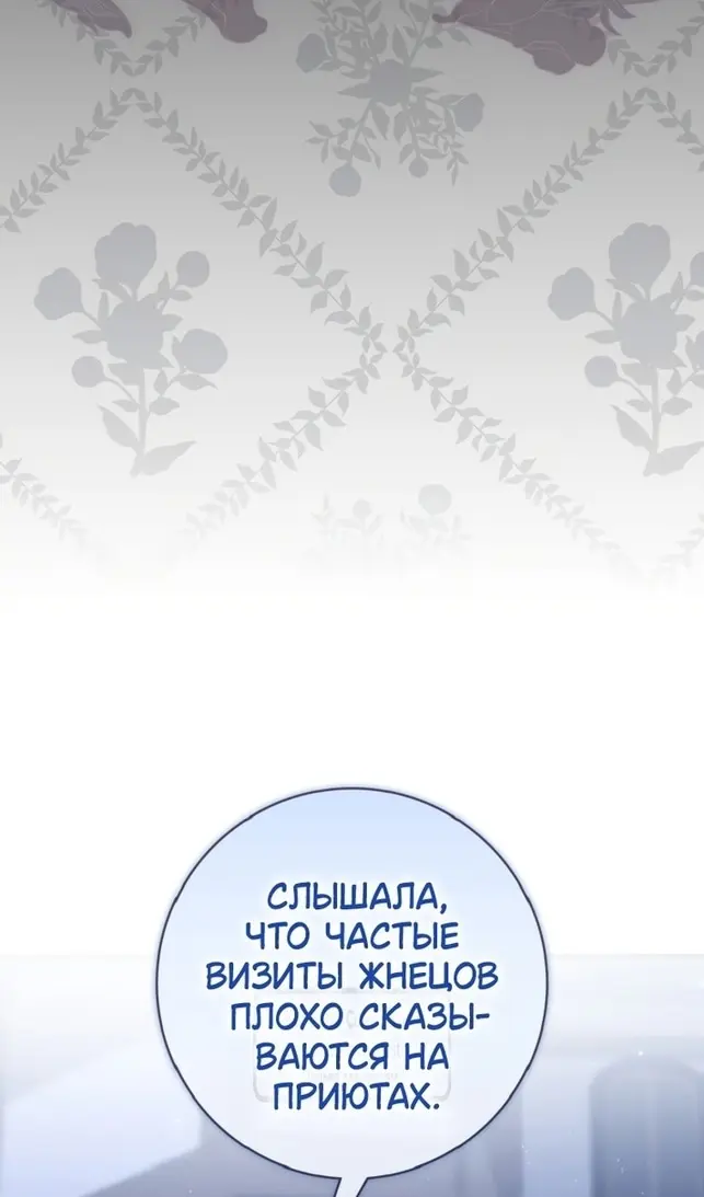 Страница 97