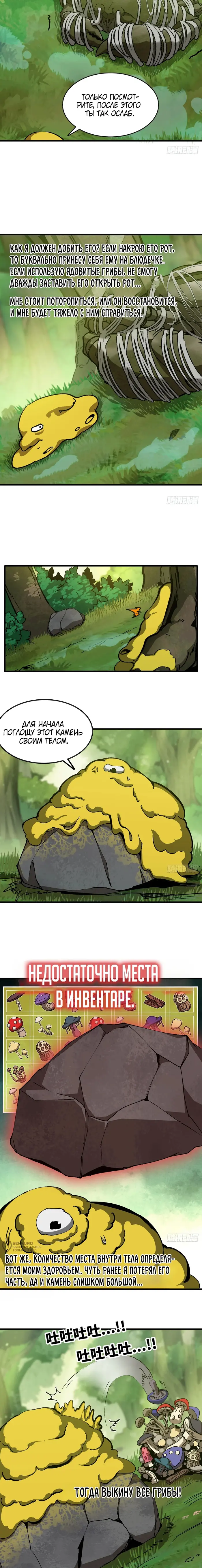 Страница 5
