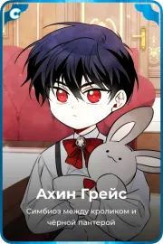Ахин Грейс