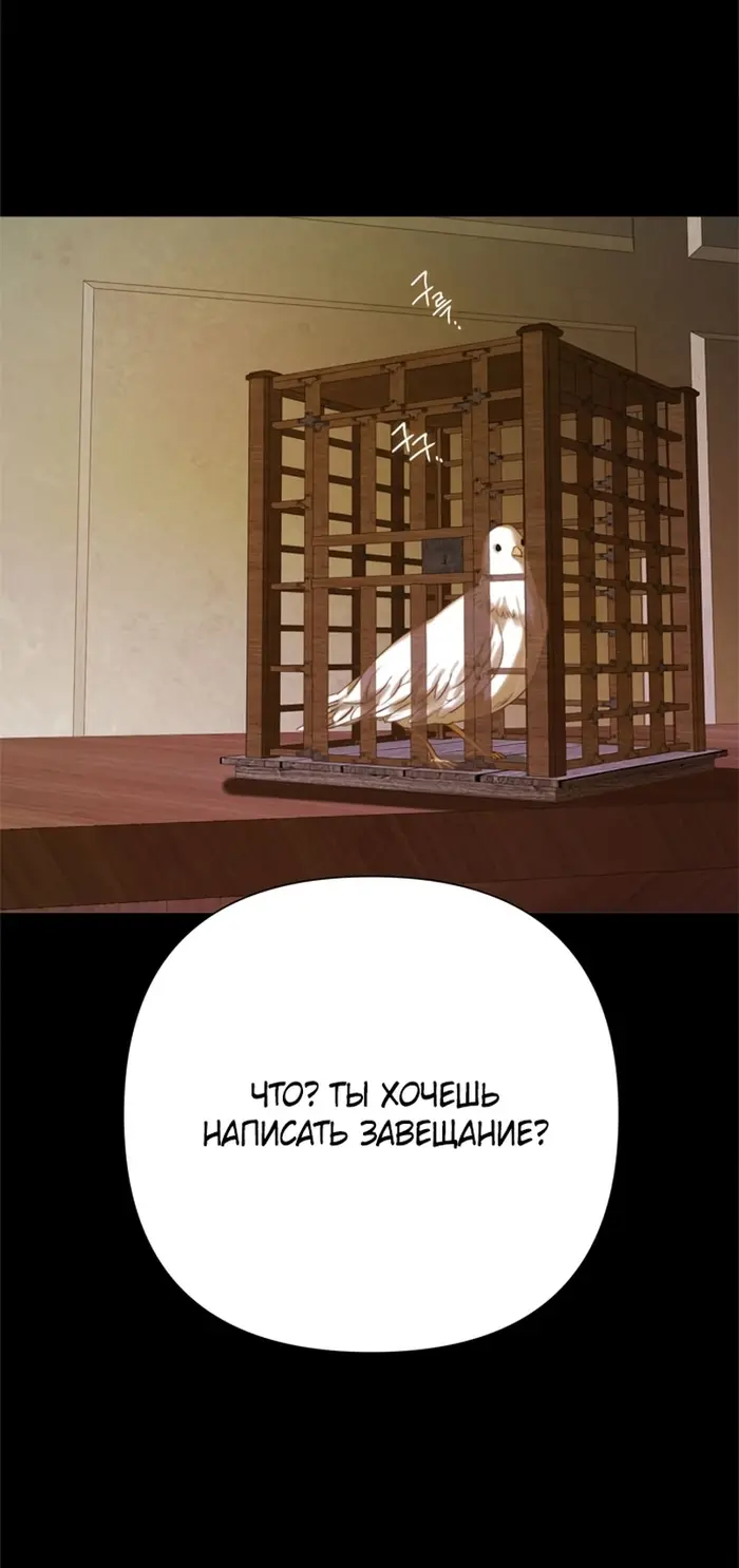 Страница 62