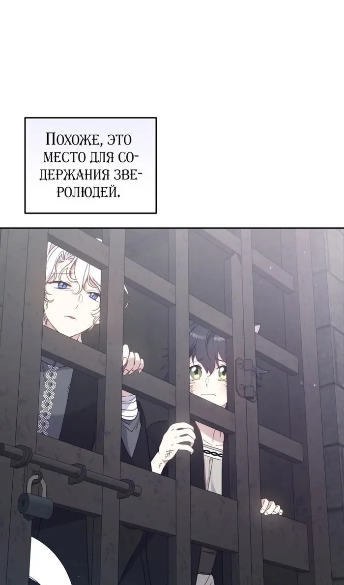 Страница 52