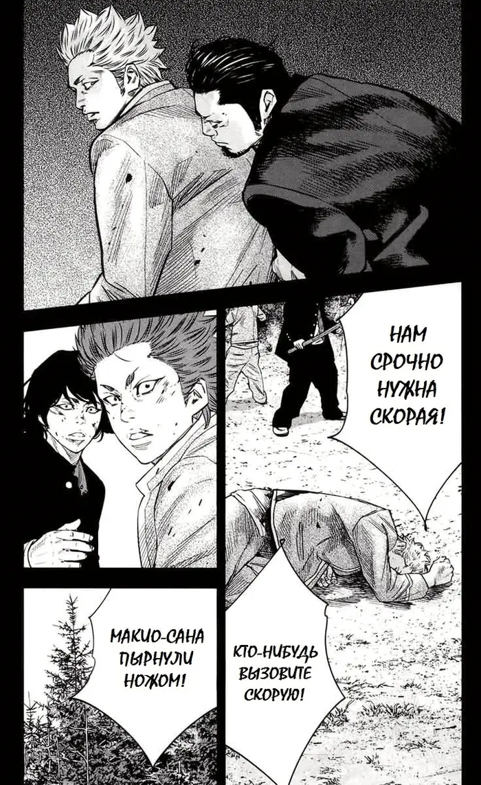 Страница 12