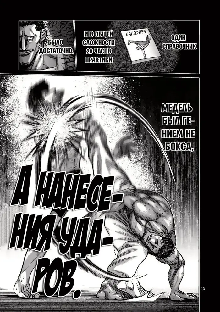 Страница 13