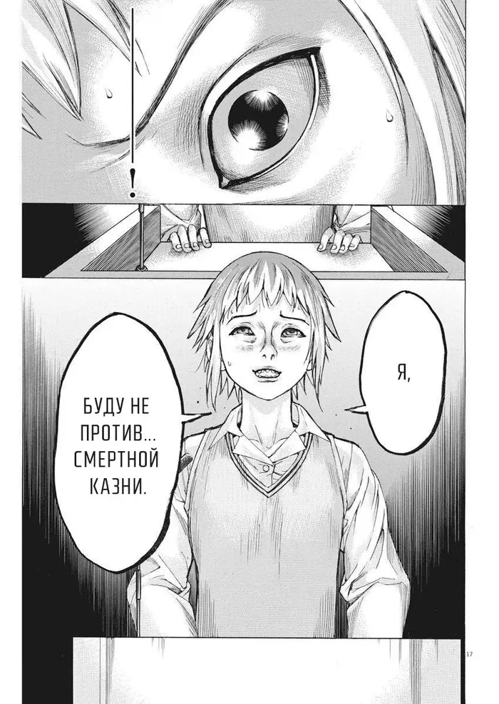 Страница 17