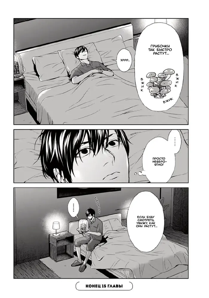 Страница 21