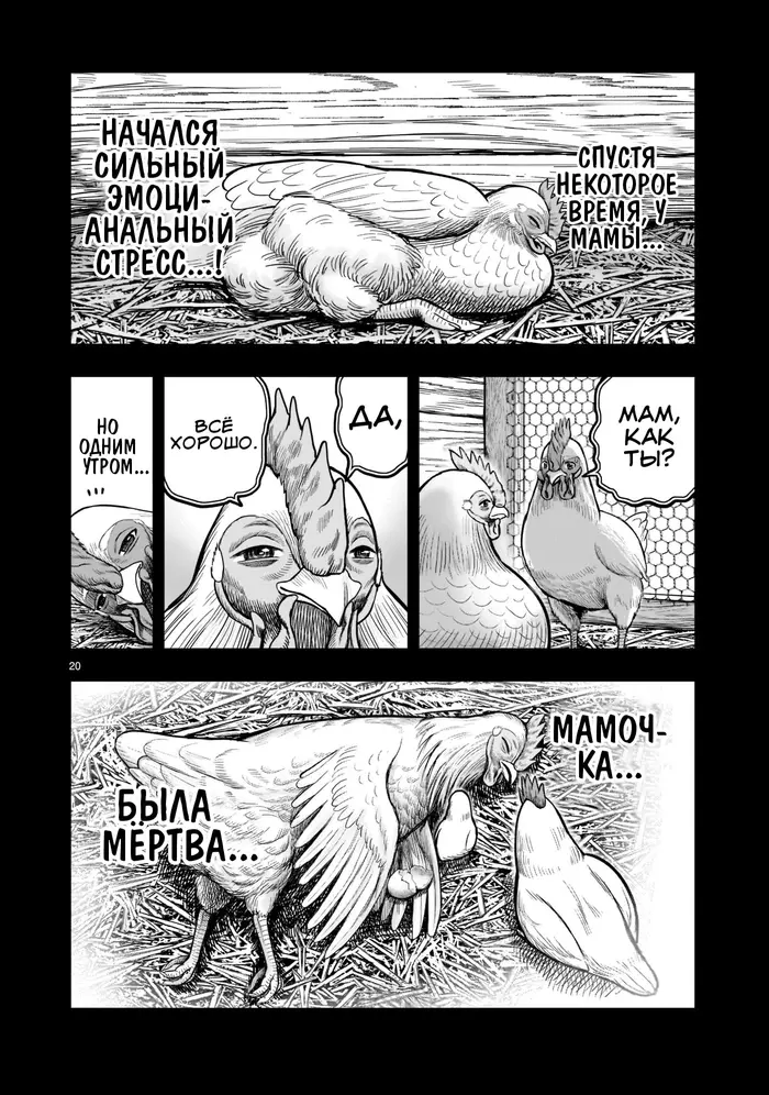 Страница 20