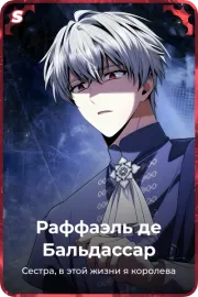Раффаэль де Бальдассар