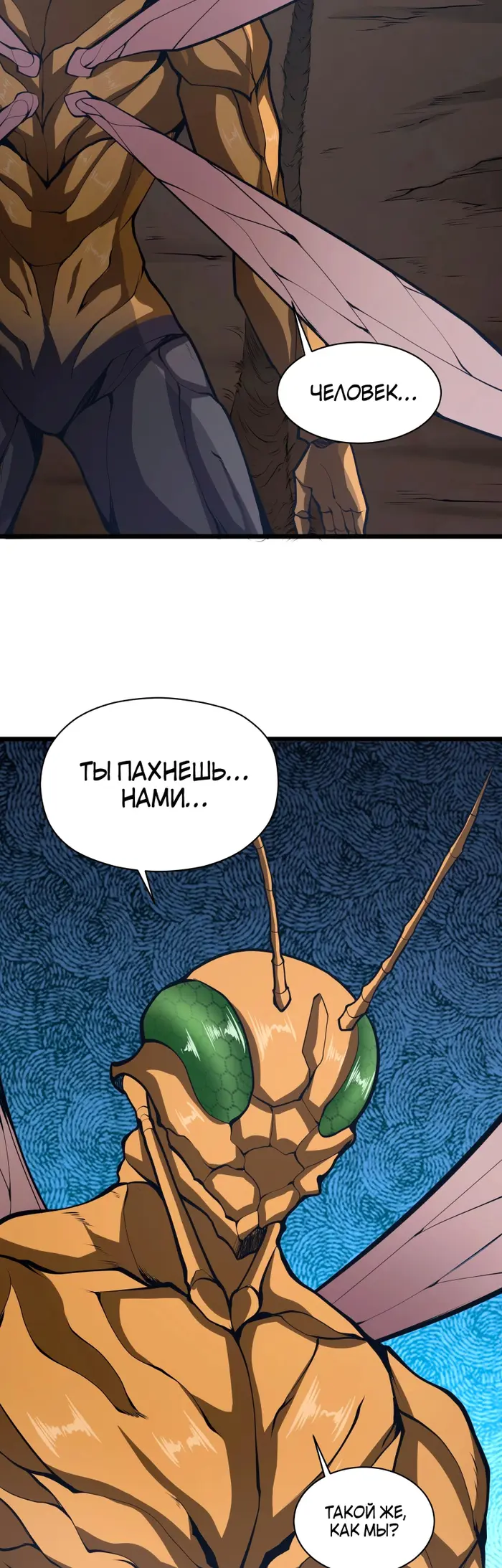Страница 34