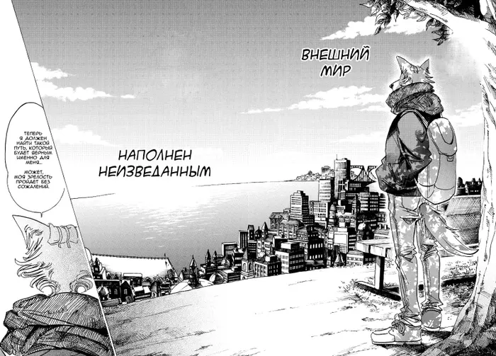Страница 14
