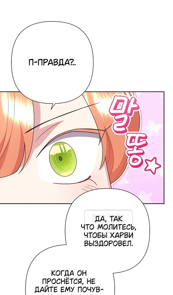 Страница 97