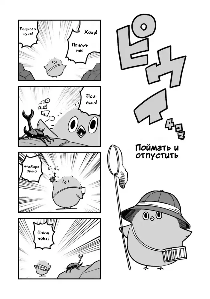 Страница 23
