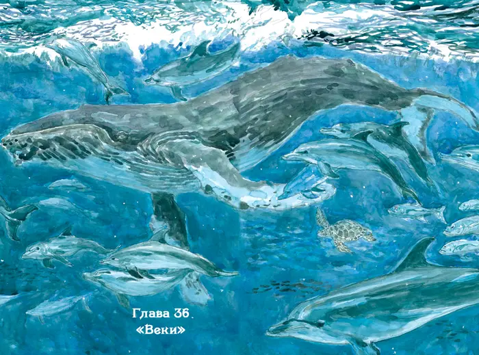 Страница 17