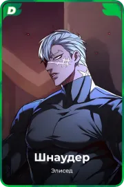 Шнаудер
