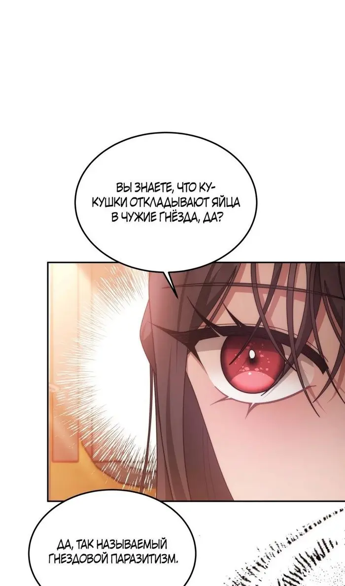 Страница 74