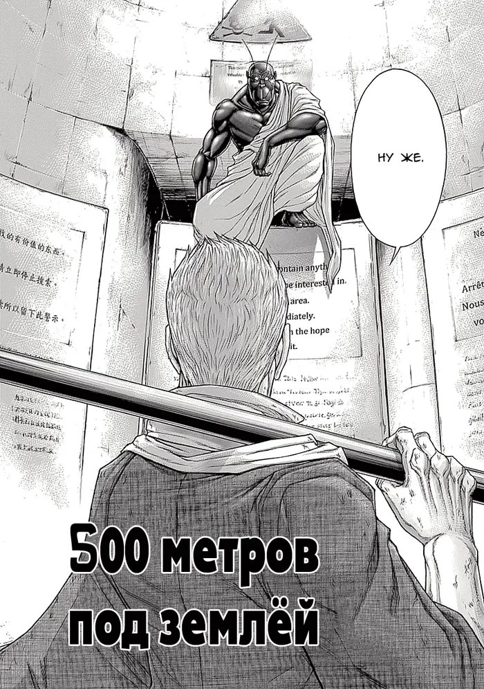 Страница 11