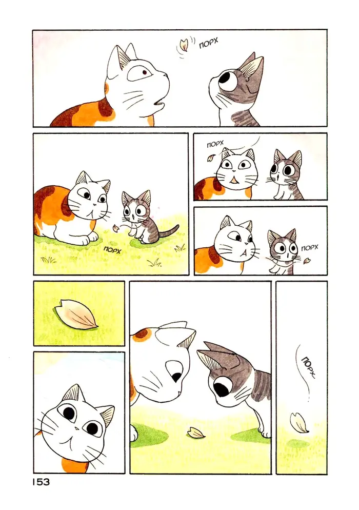Страница 5